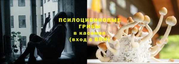 Альфа ПВП Алзамай