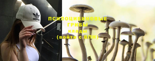 Альфа ПВП Алзамай