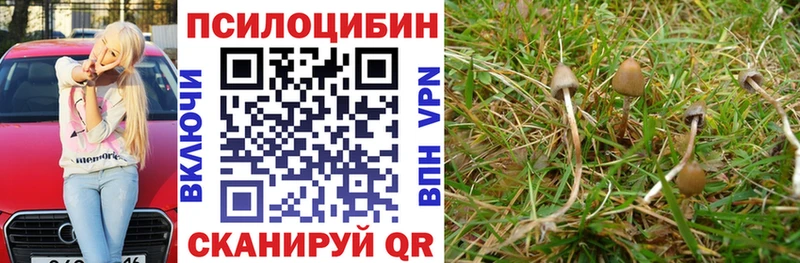 Псилоцибиновые грибы Magic Shrooms  сколько стоит  Уржум 